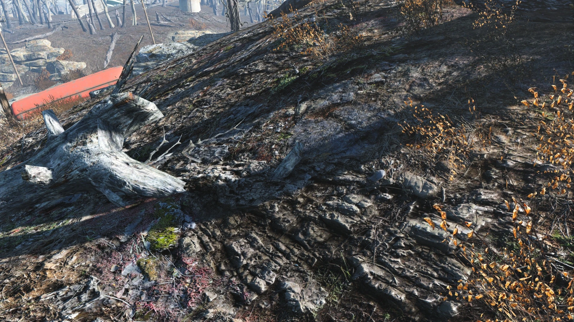 Fallout 4 natural landscapes 2k 4k фото 17