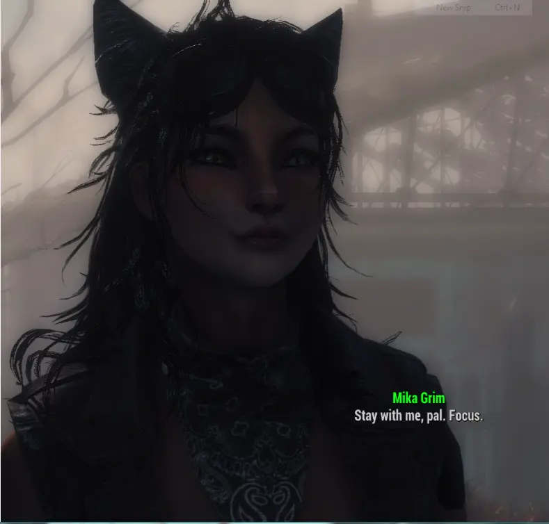 Fallout 4 Khajiit Mod