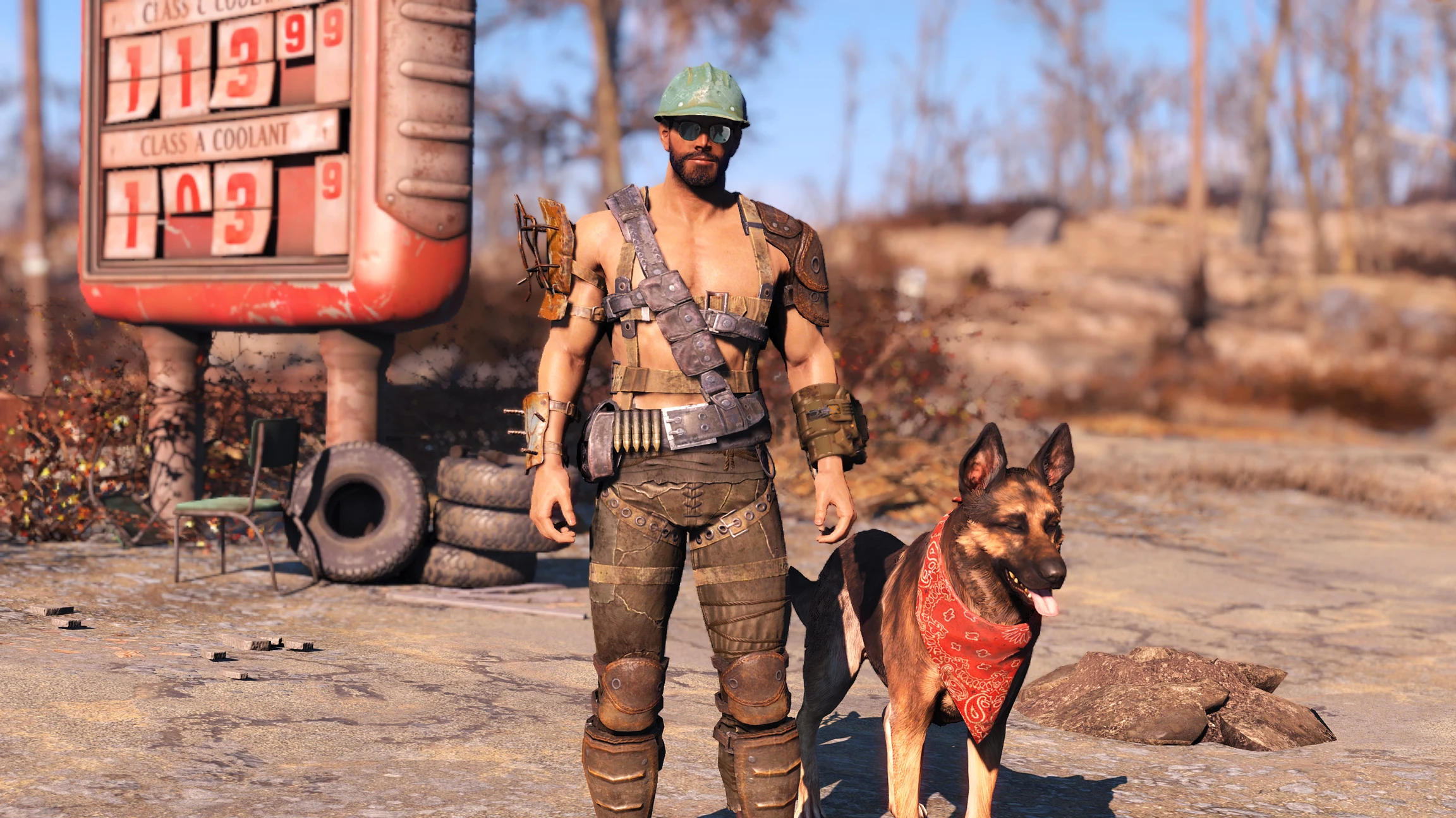 Fallout 4 как позвать собака фото 18