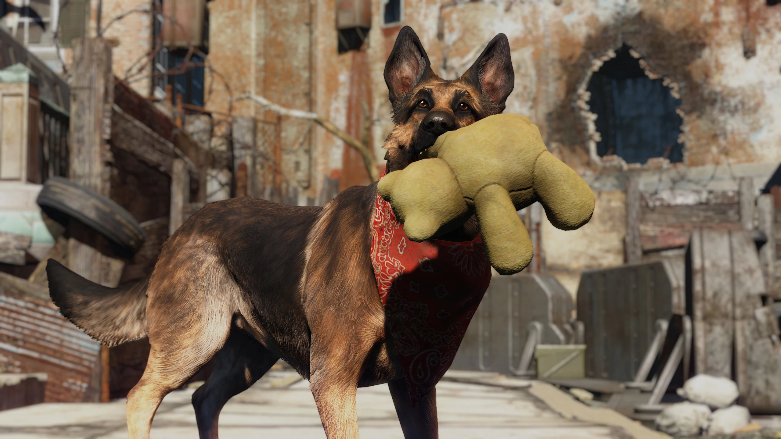 Fallout 4 псина баг фото 7