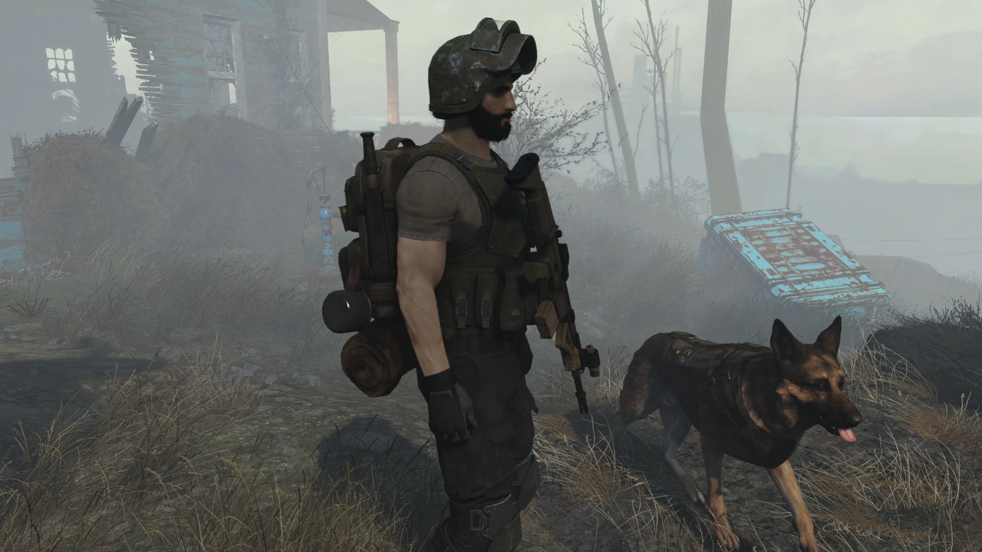 Fallout 4 animations фото 108