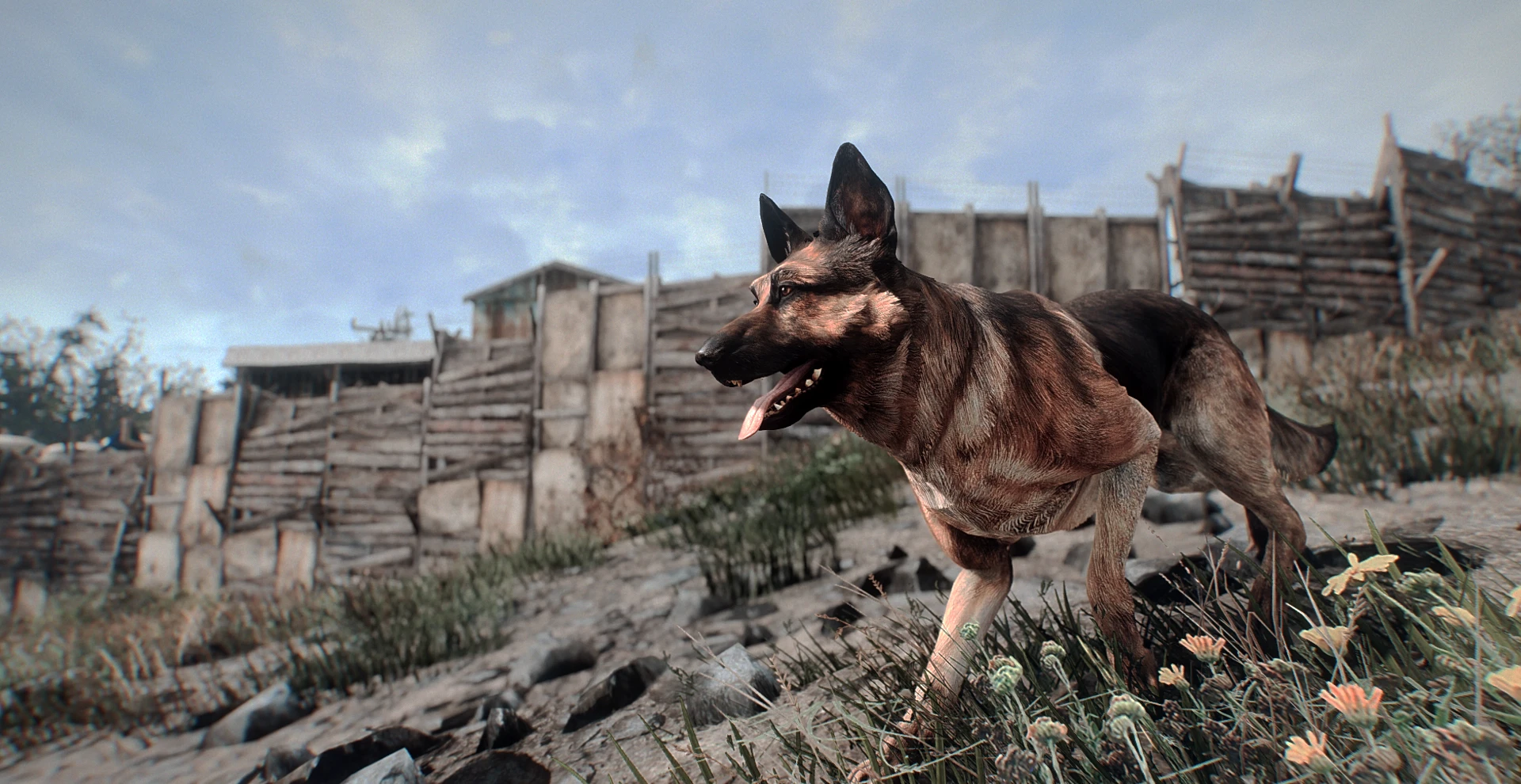 Dogmeat Retexture - 4k at Fallout 4 Nexus - Mods and community