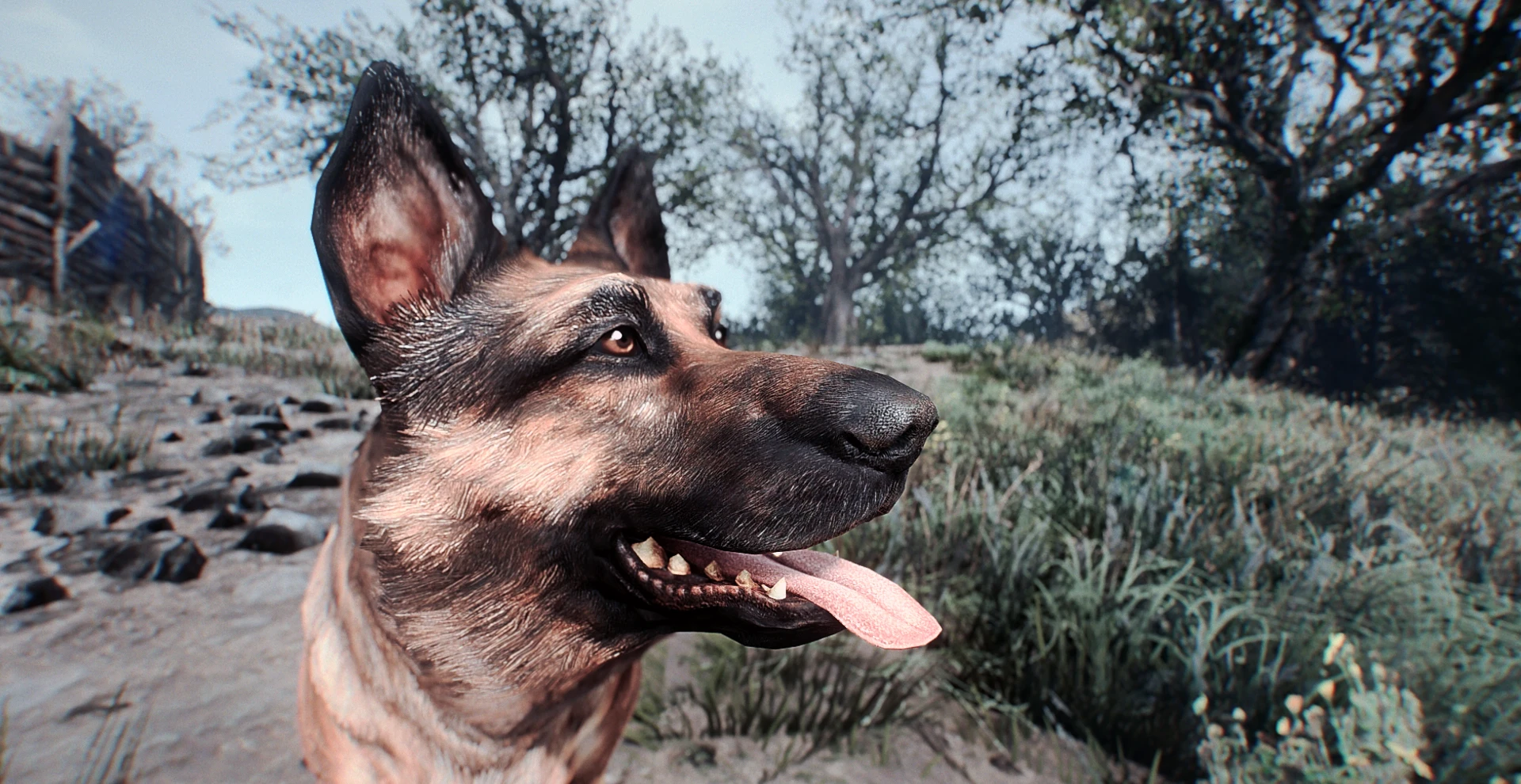 Dogmeat Retexture - 4k at Fallout 4 Nexus - Mods and community