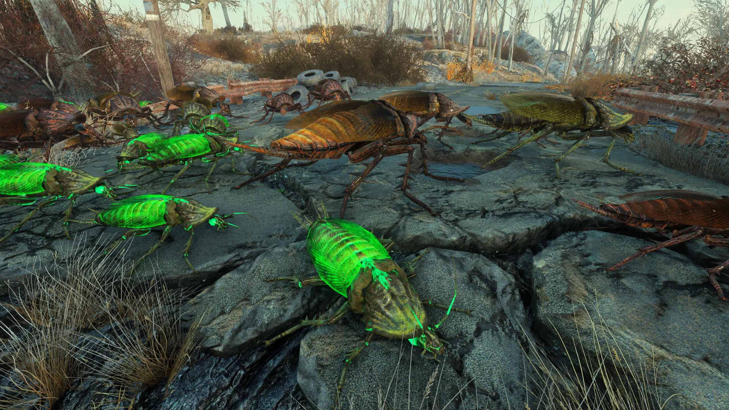 No More Muddy Radroaches - A Radroach Retexture and Fixes at Fallout 4 ...