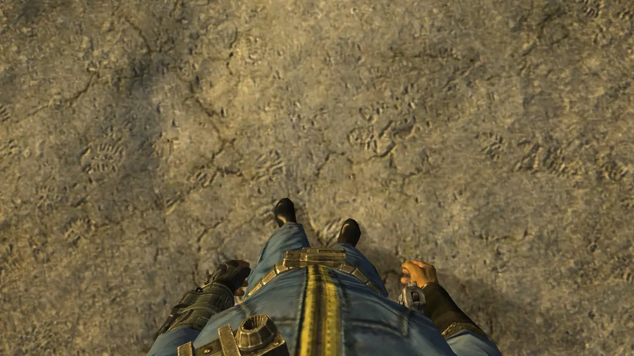 oblivion first person legs