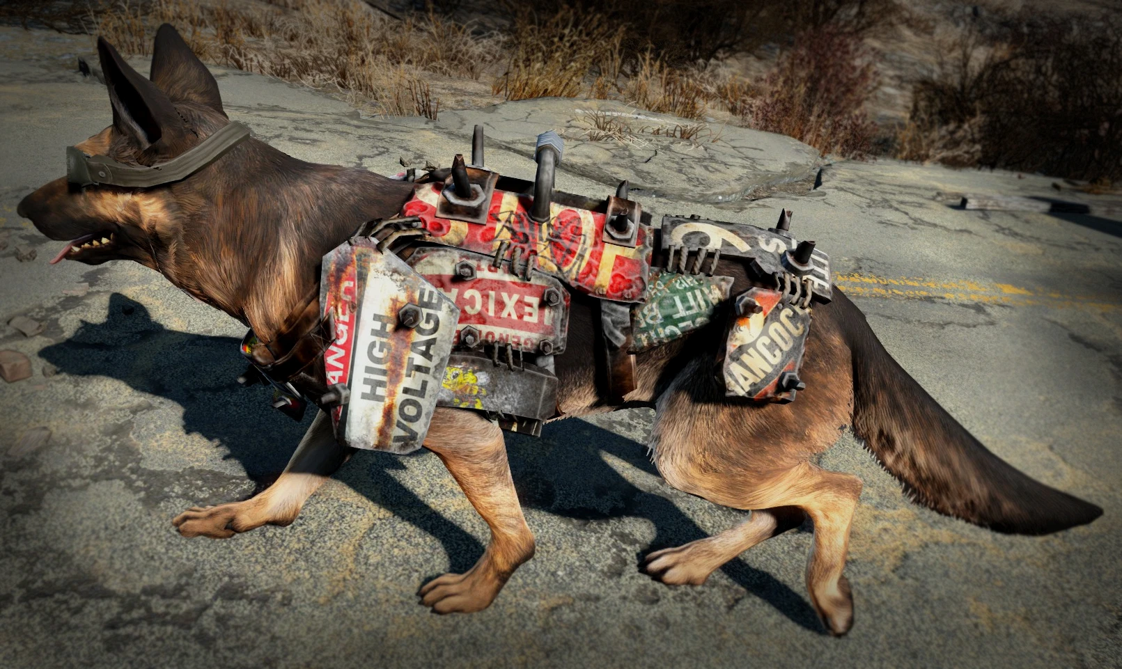 Fallout 4 все для собаки фото 101
