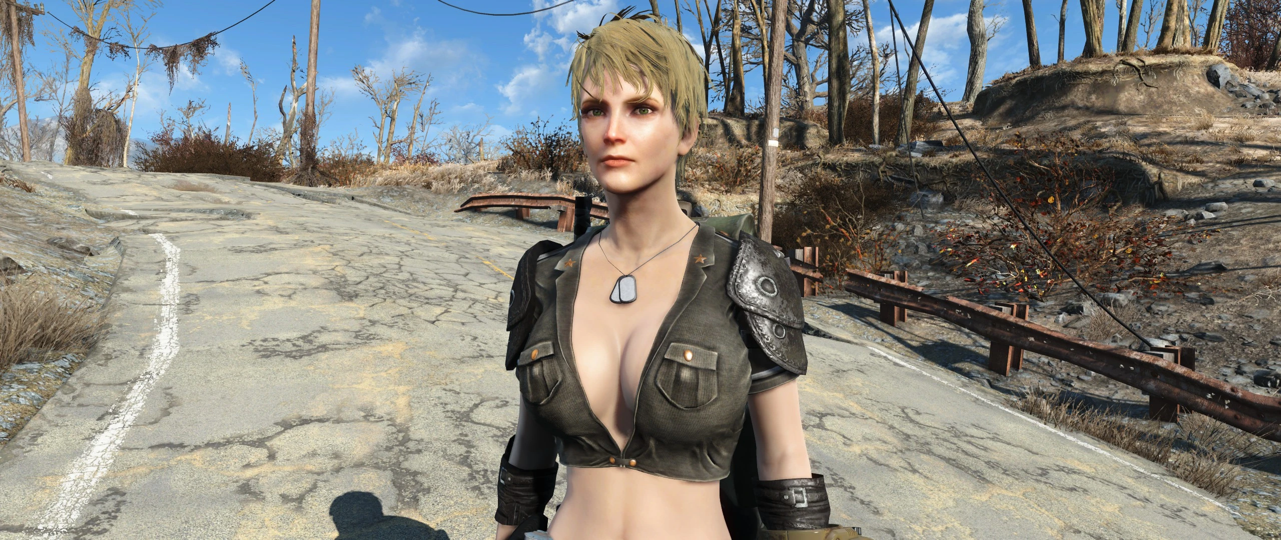 My111 At Fallout 4 Nexus Mods And Community