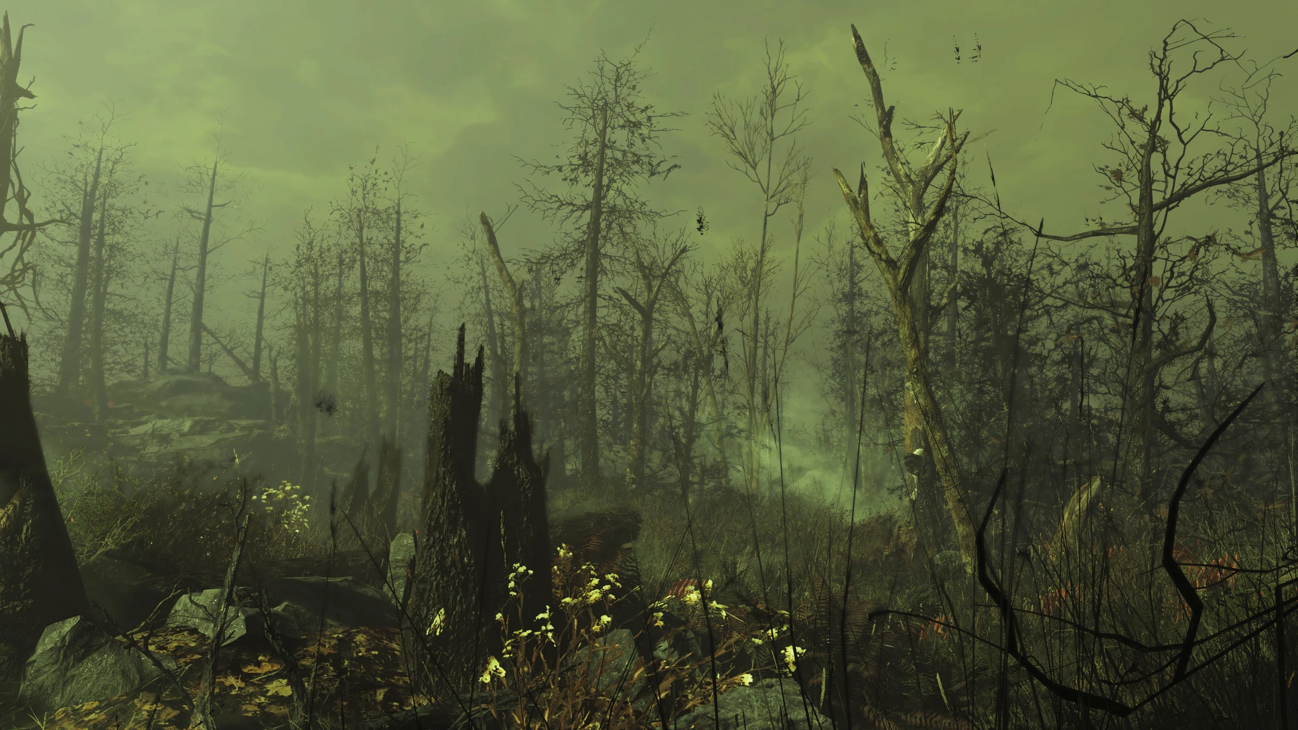 Radiated Beauty at Fallout 4 Nexus - Mods and community