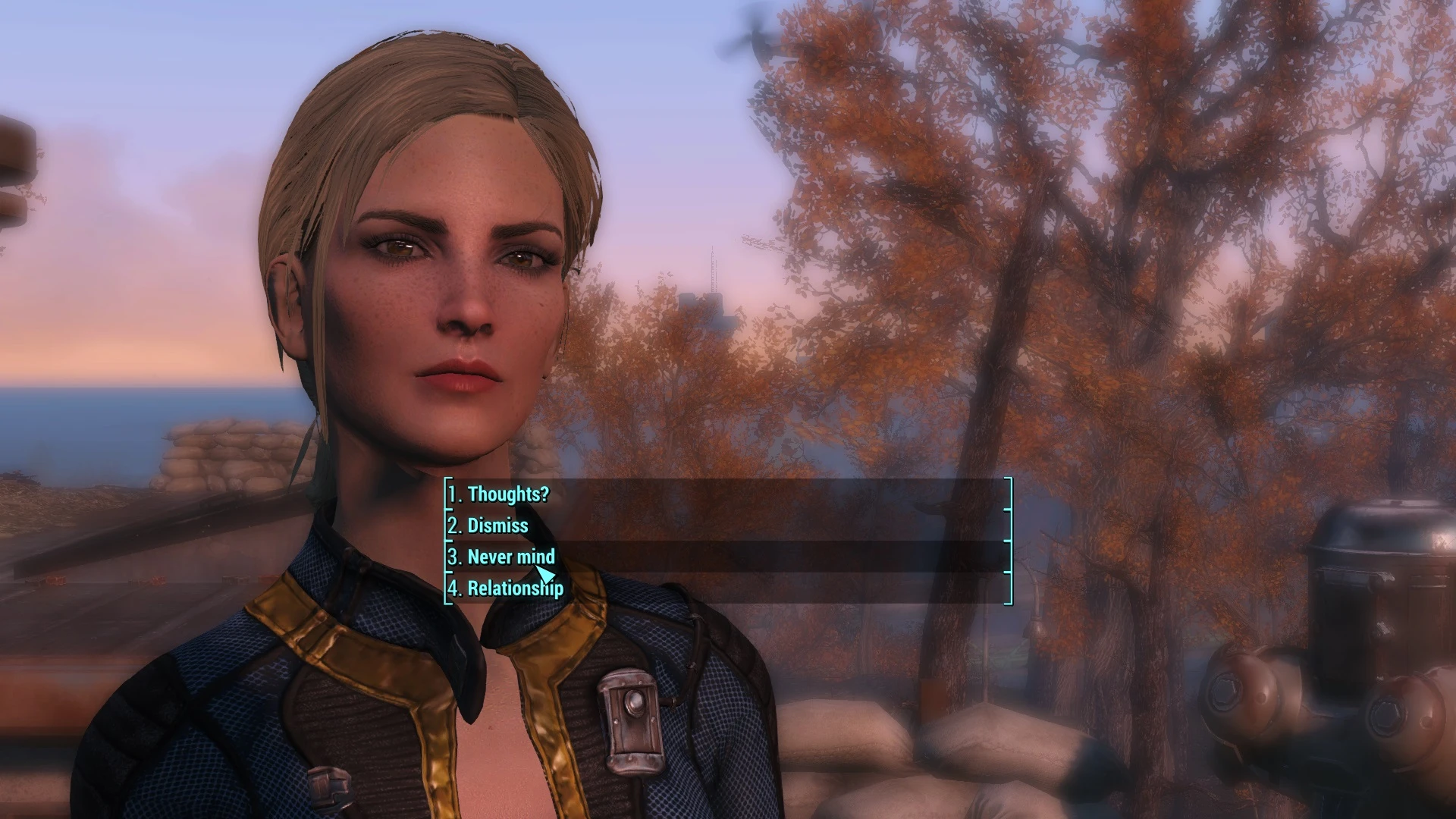 Brooke Rivers - Female Sole Survivor at Fallout 4 Nexus - Mods and