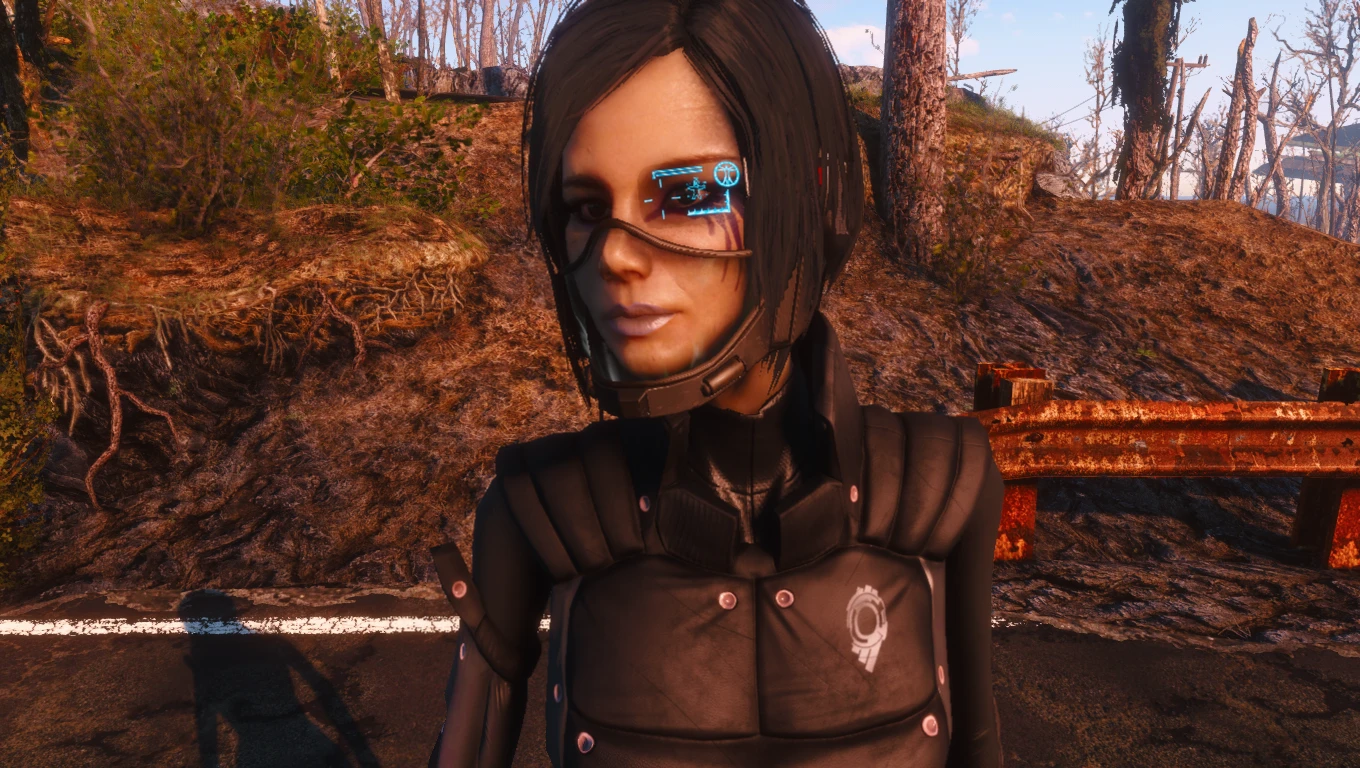 Piper 3 at Fallout 4 Nexus - Mods and community