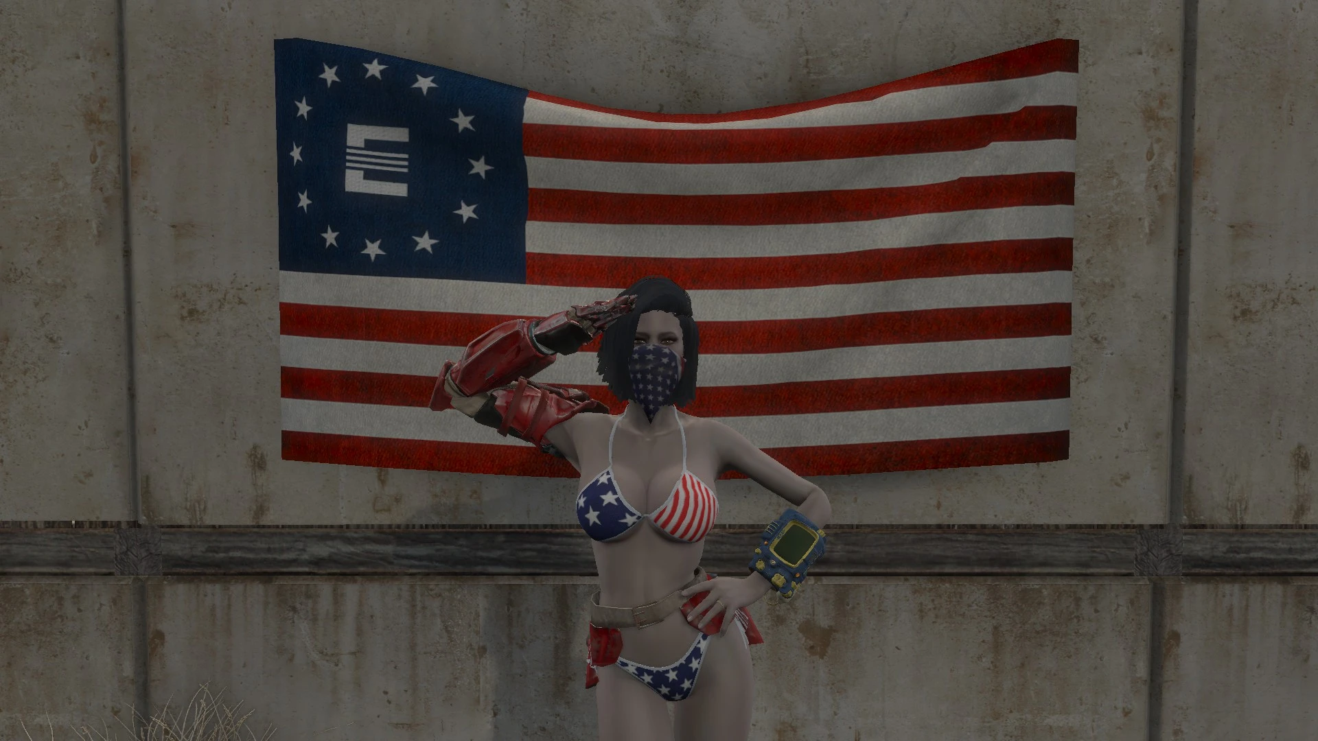 сложенный американский флаг в fallout 4 фото 9