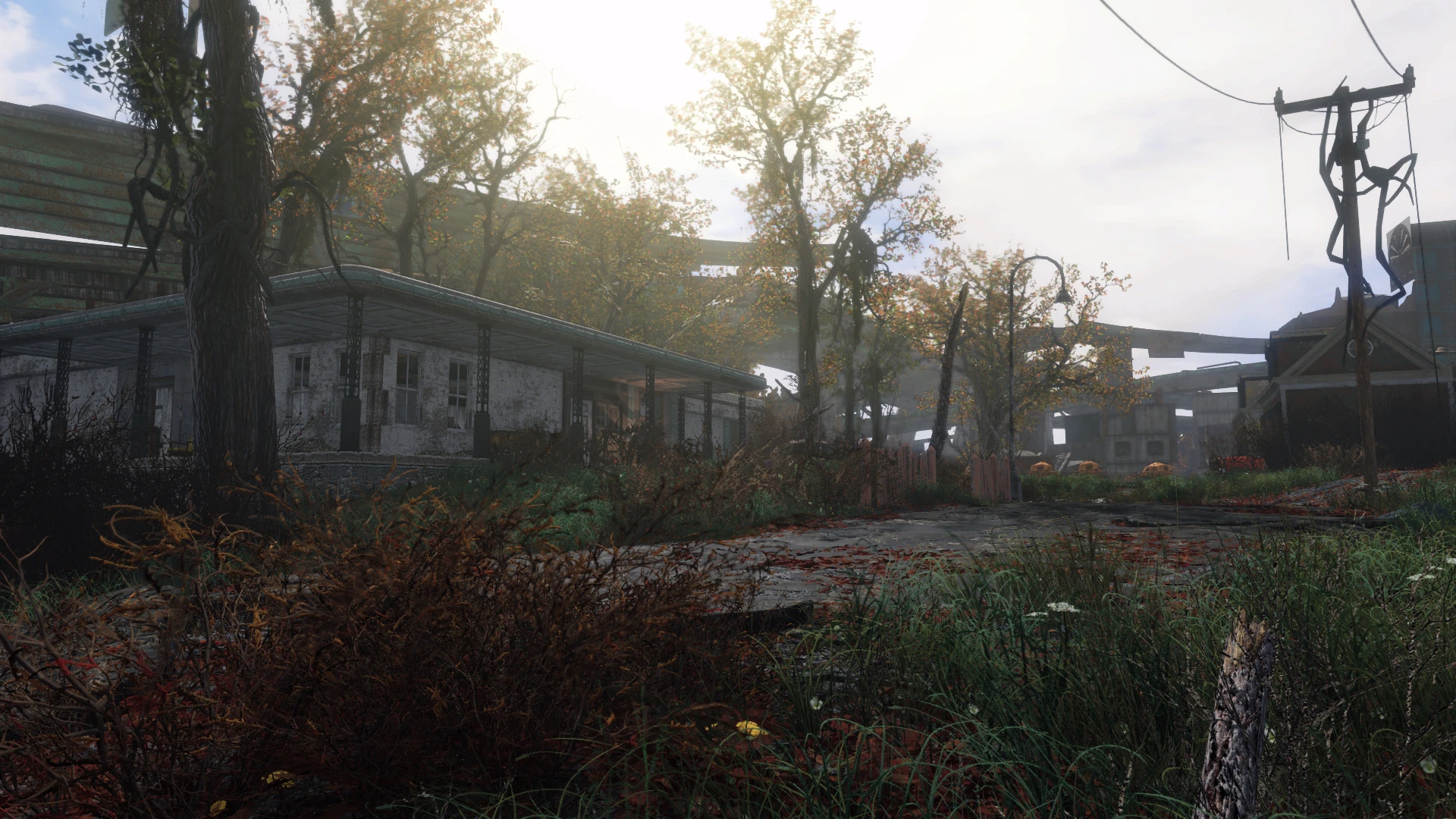 Autumn at Fallout 4 Nexus - Mods and community