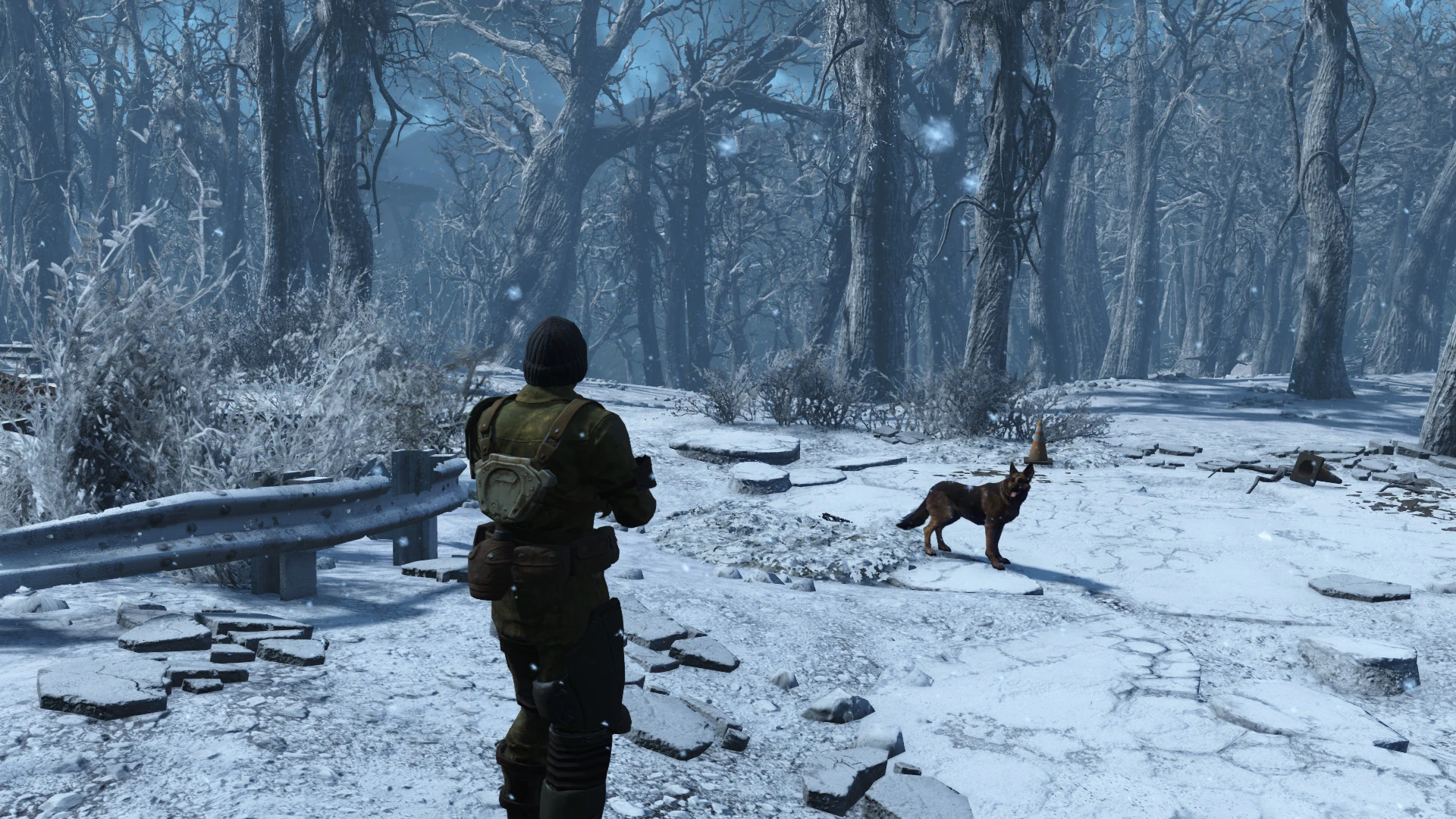 Winter Overhaul Pre-release Beta Version At Fallout 4 Nexus - Mods And ...