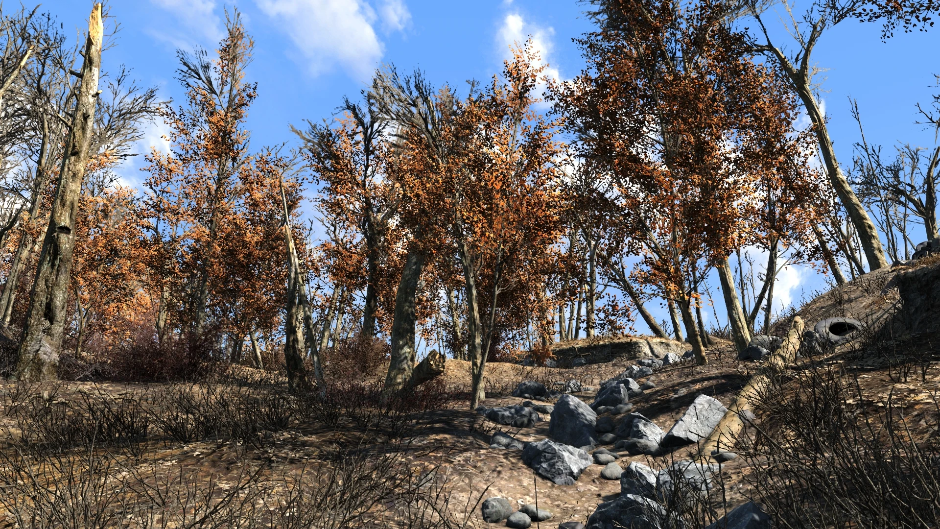 fallout 4 more trees