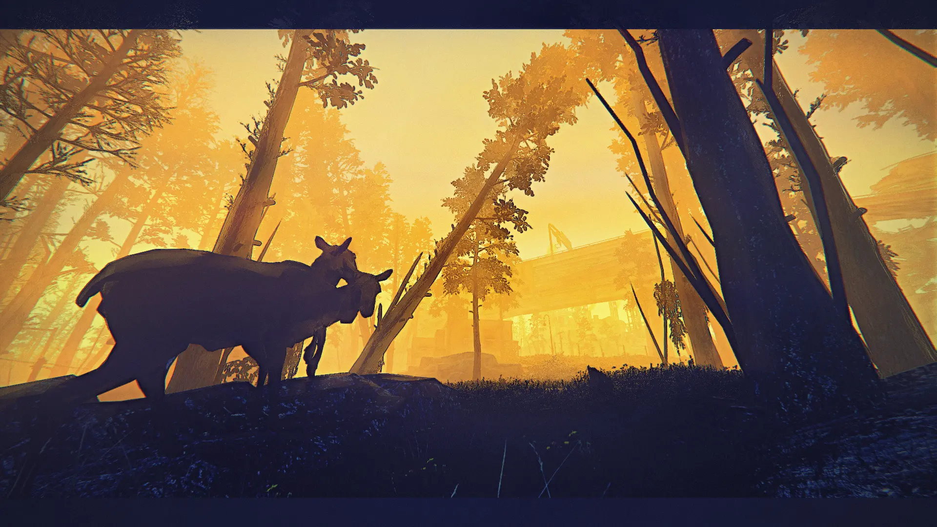 Good morning Commonwealth Good morning Commonwealth