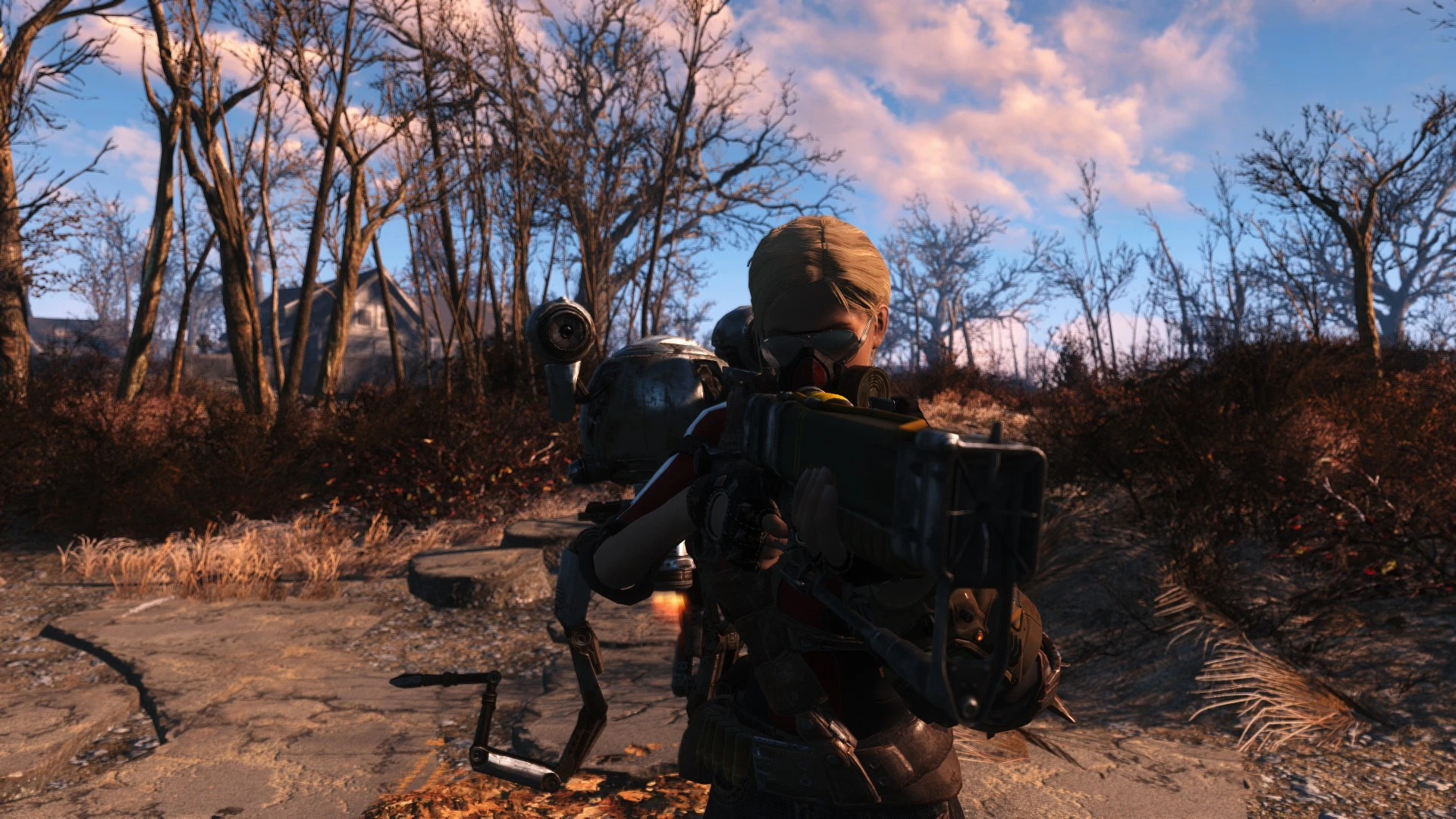 New to the wasteland at Fallout 4 Nexus - Mods and community