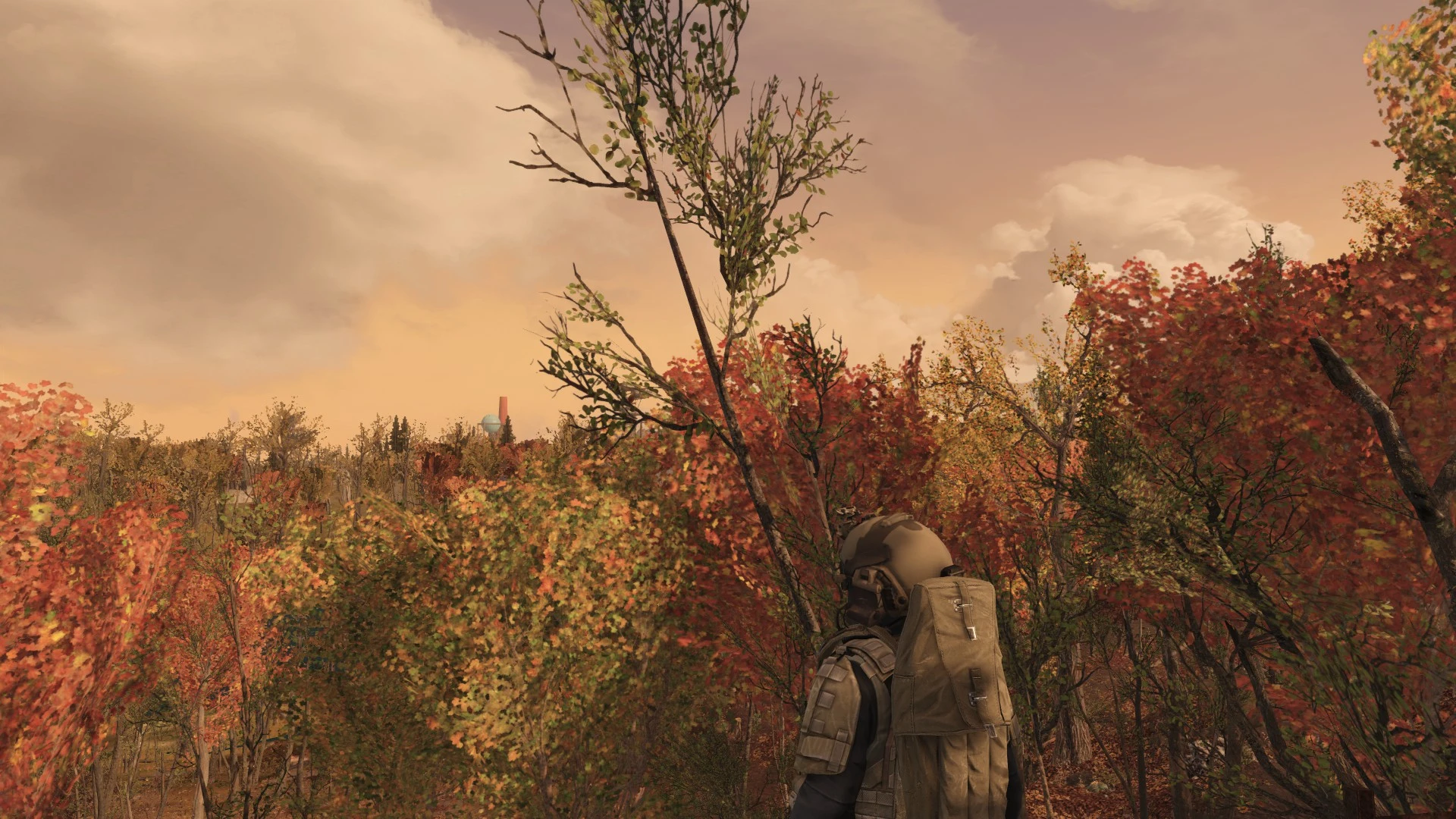 Boston Natural Surroundings During The Evening At Fallout 4 Nexus Mods And Community