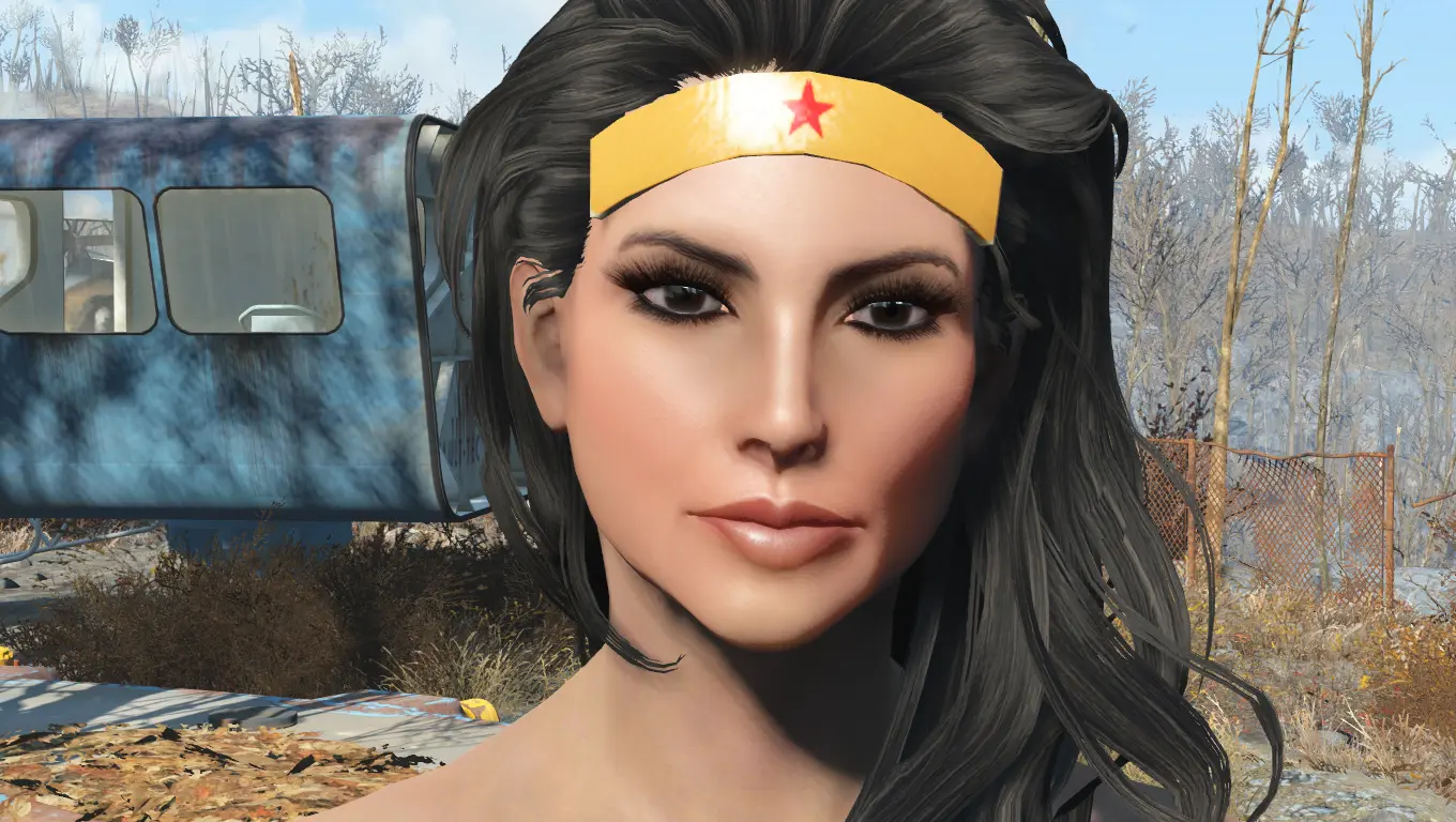 LooksMenu at Fallout 4 Nexus - Mods and community