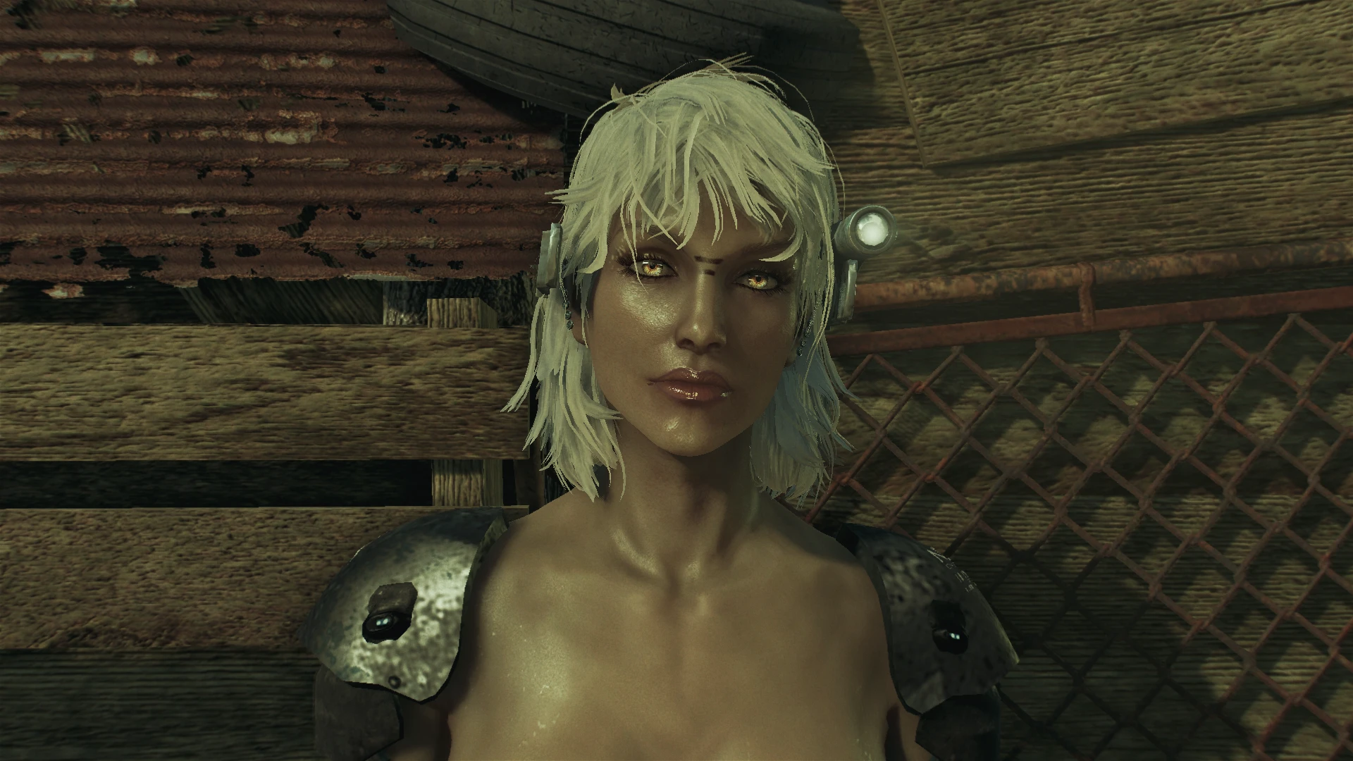 Blonde Ambition At Fallout 4 Nexus Mods And Community