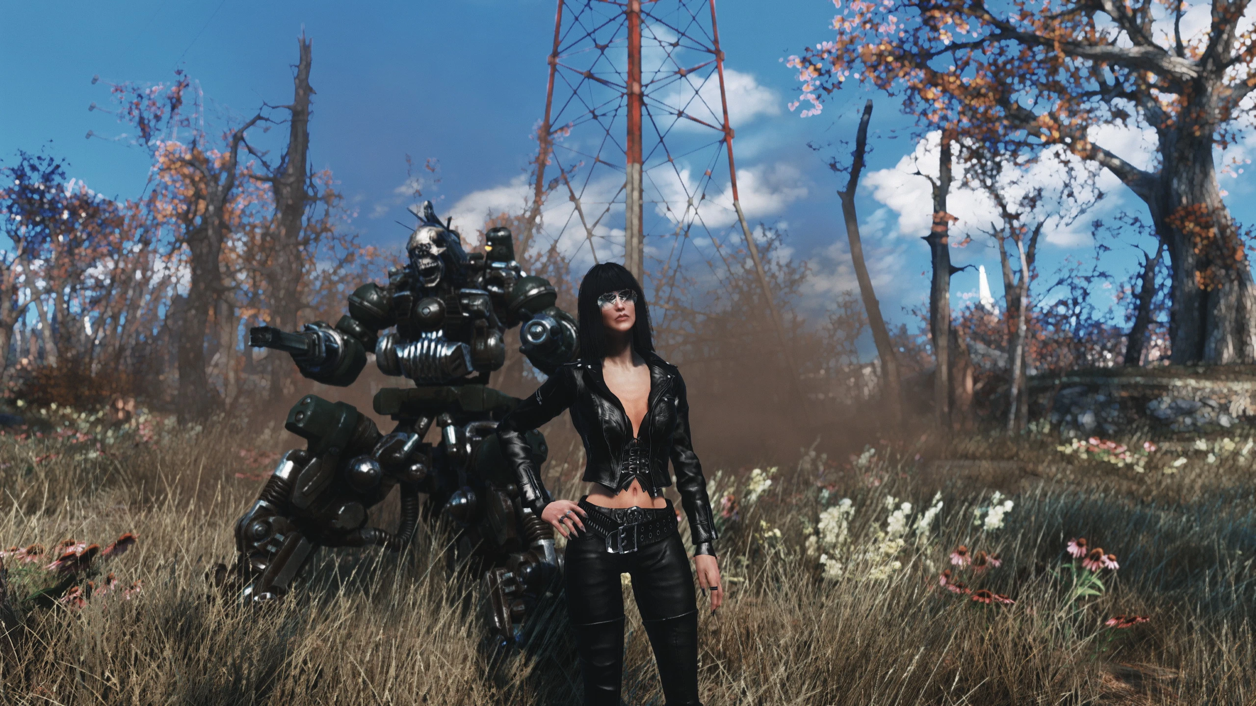 fallout 4 nexus enb