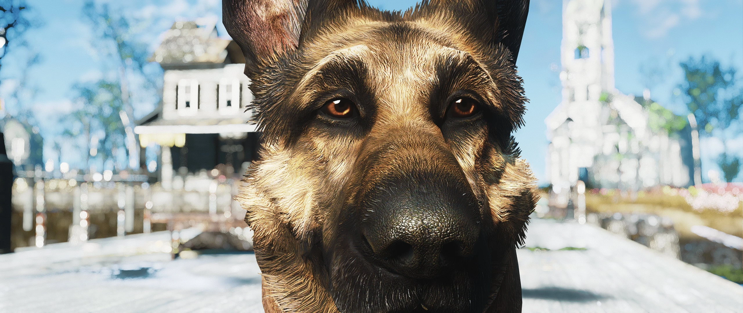 Dogmeat 4k at Fallout 4 Nexus - Mods and community