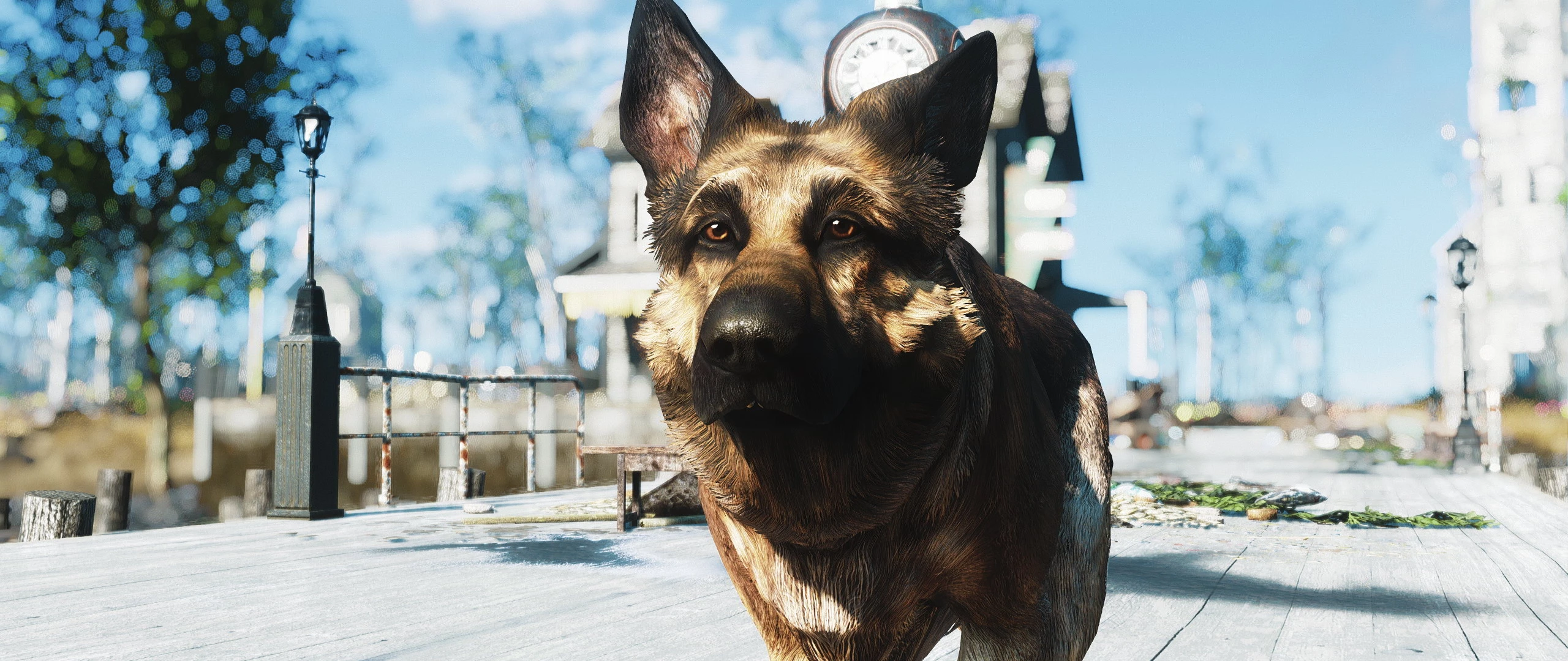 Fallout 4 dogmeat no фото 6