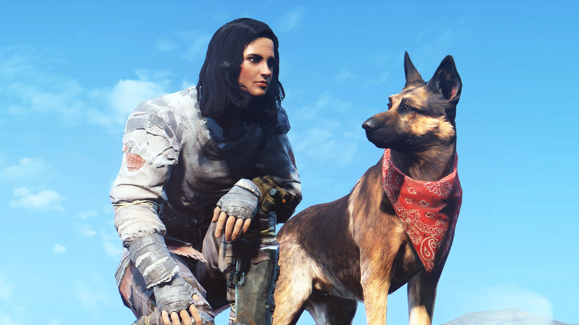 Fallout 4 dogmeat no фото 102