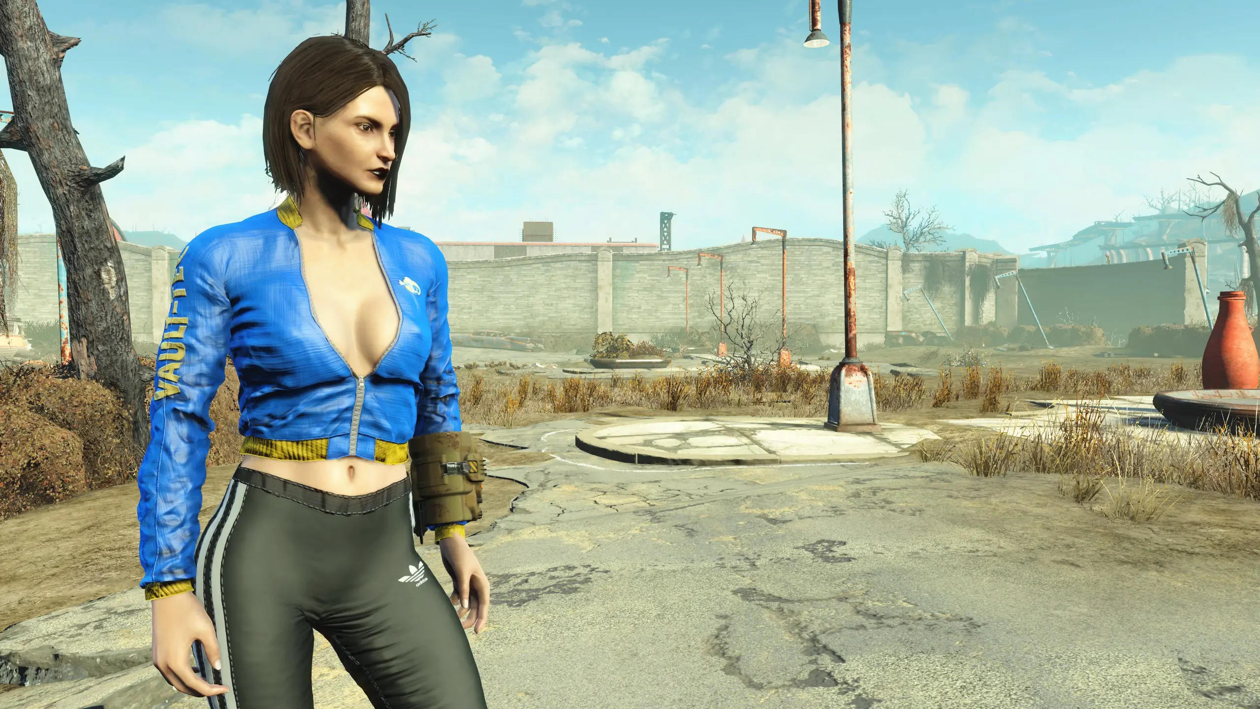 Nora fashion at Fallout 4 Nexus - Mods and community