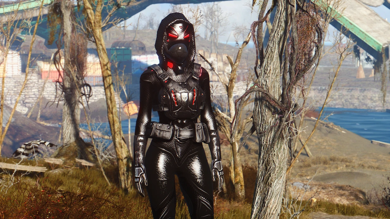 stealth 5s outfit