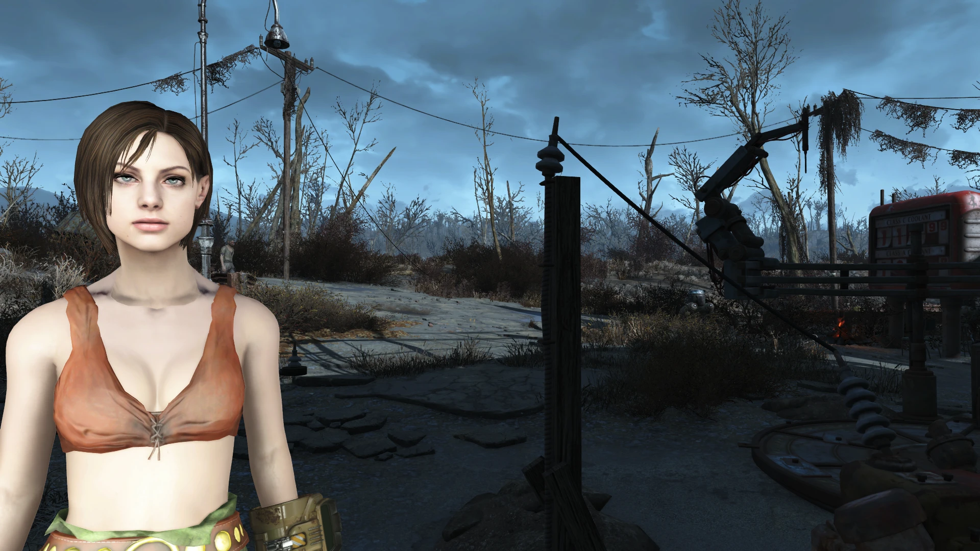 Fallout 4 джилл валентайн фото 14