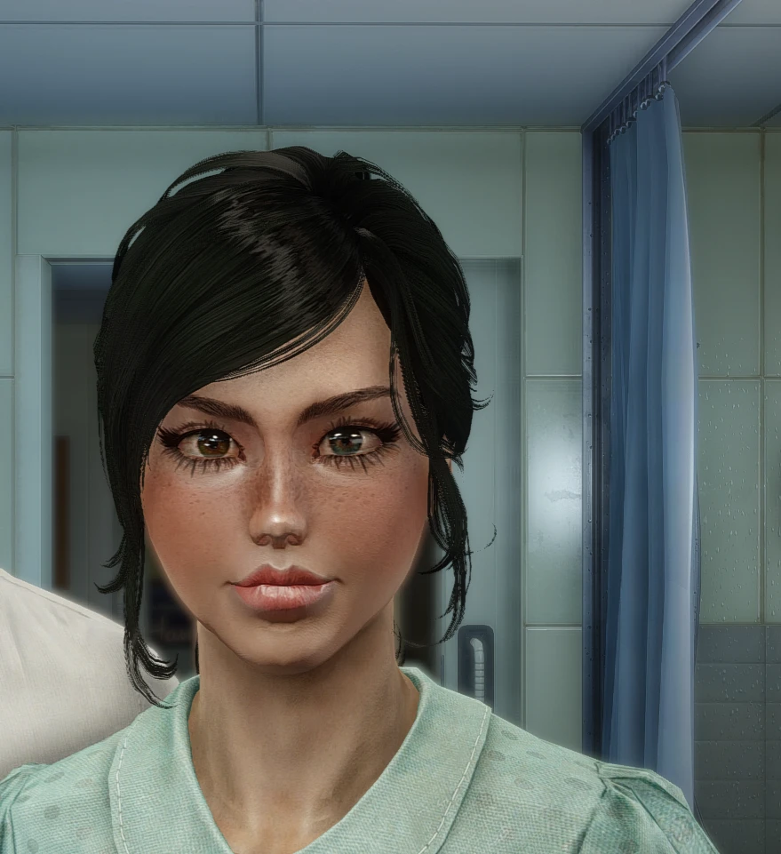 Sara character preset at Fallout 4 Nexus - Mods and community