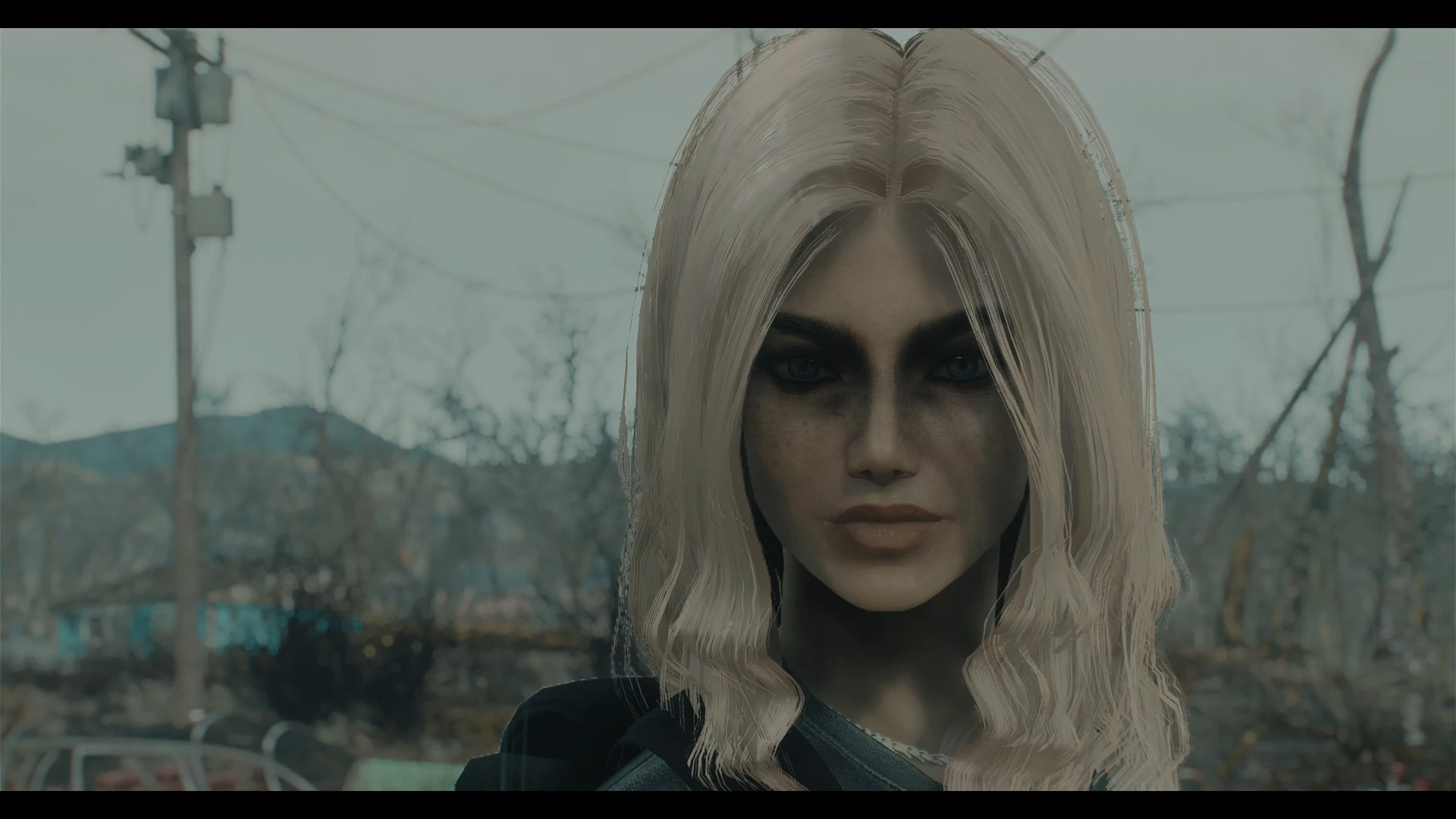 Blondie at Fallout 4 Nexus - Mods and community