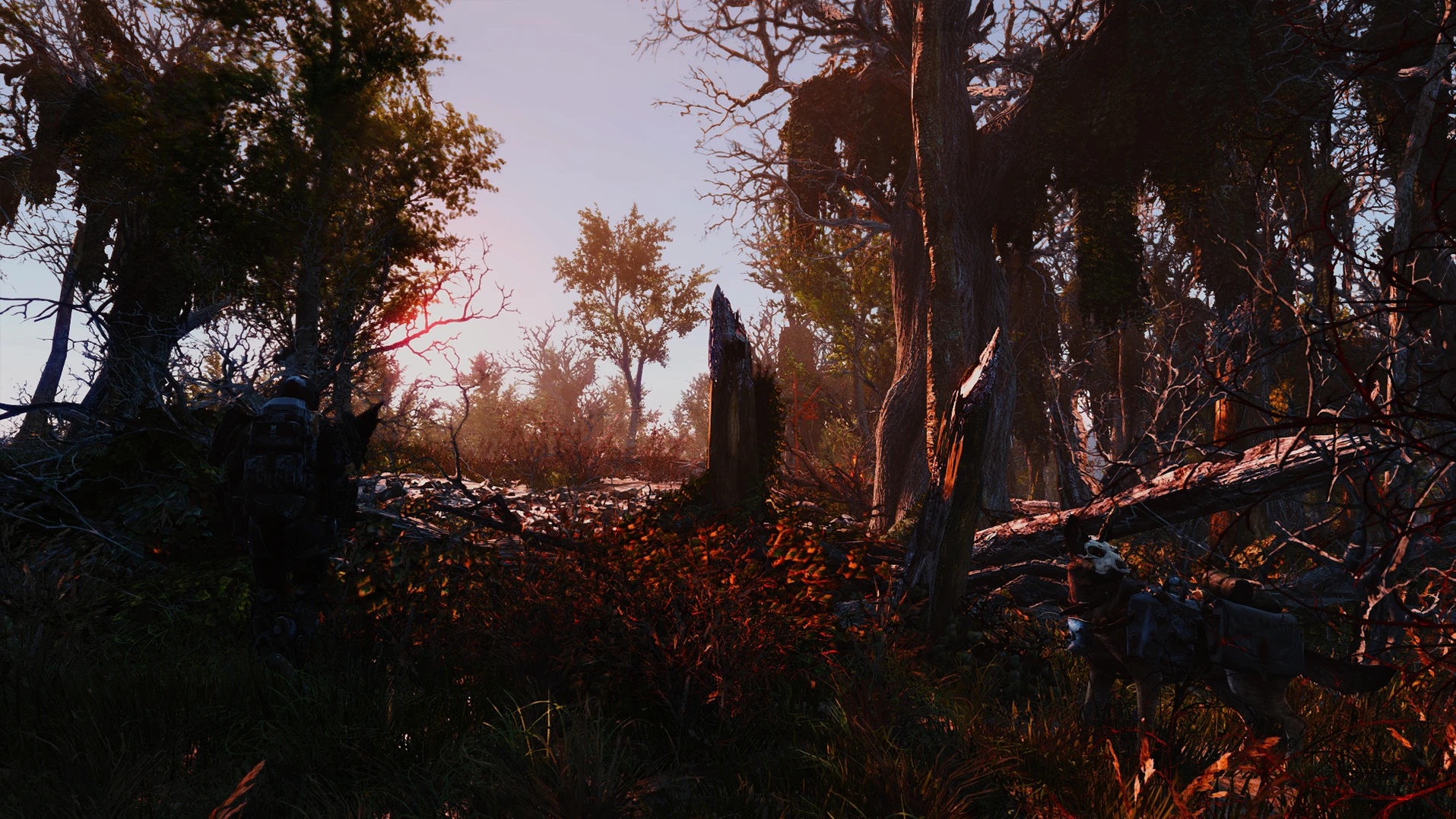 Forest at Fallout 4 Nexus - Mods and community