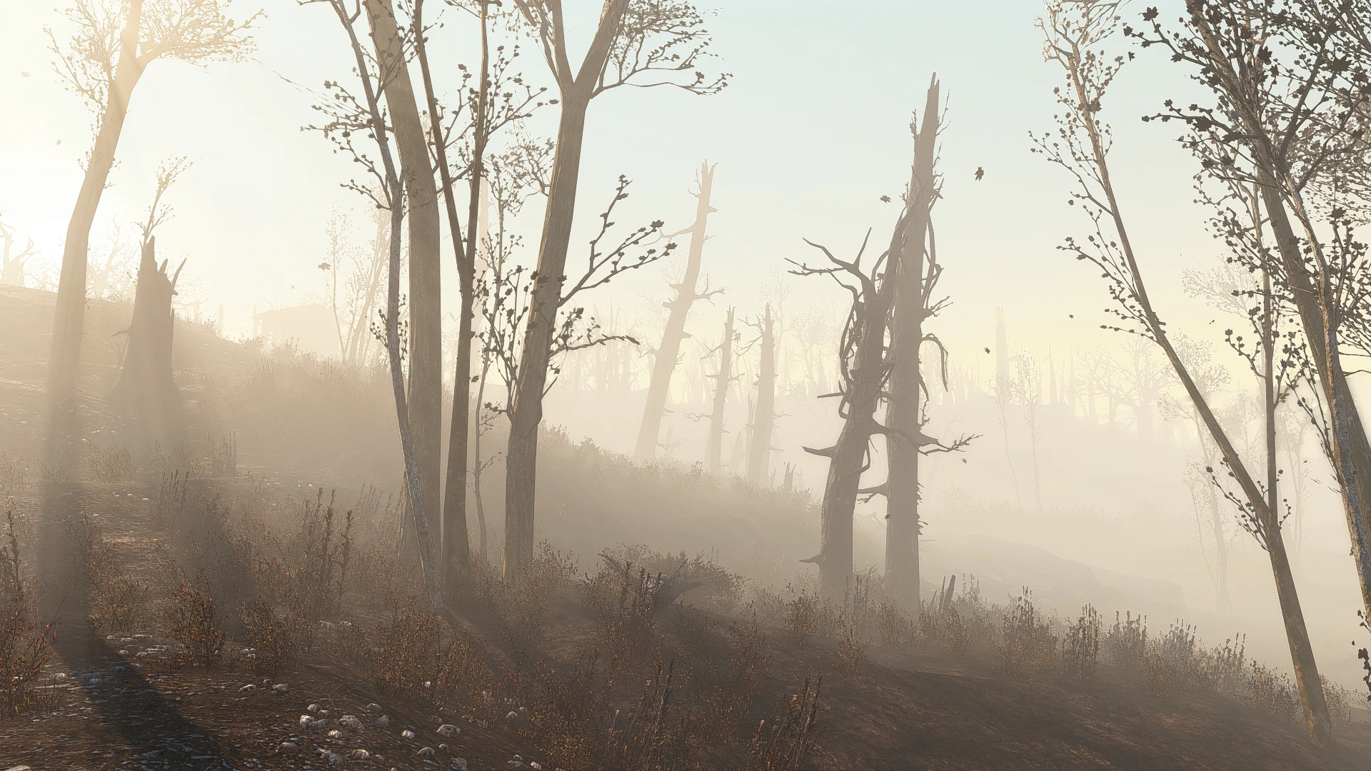 Fallout 4 flora overhaul фото 5