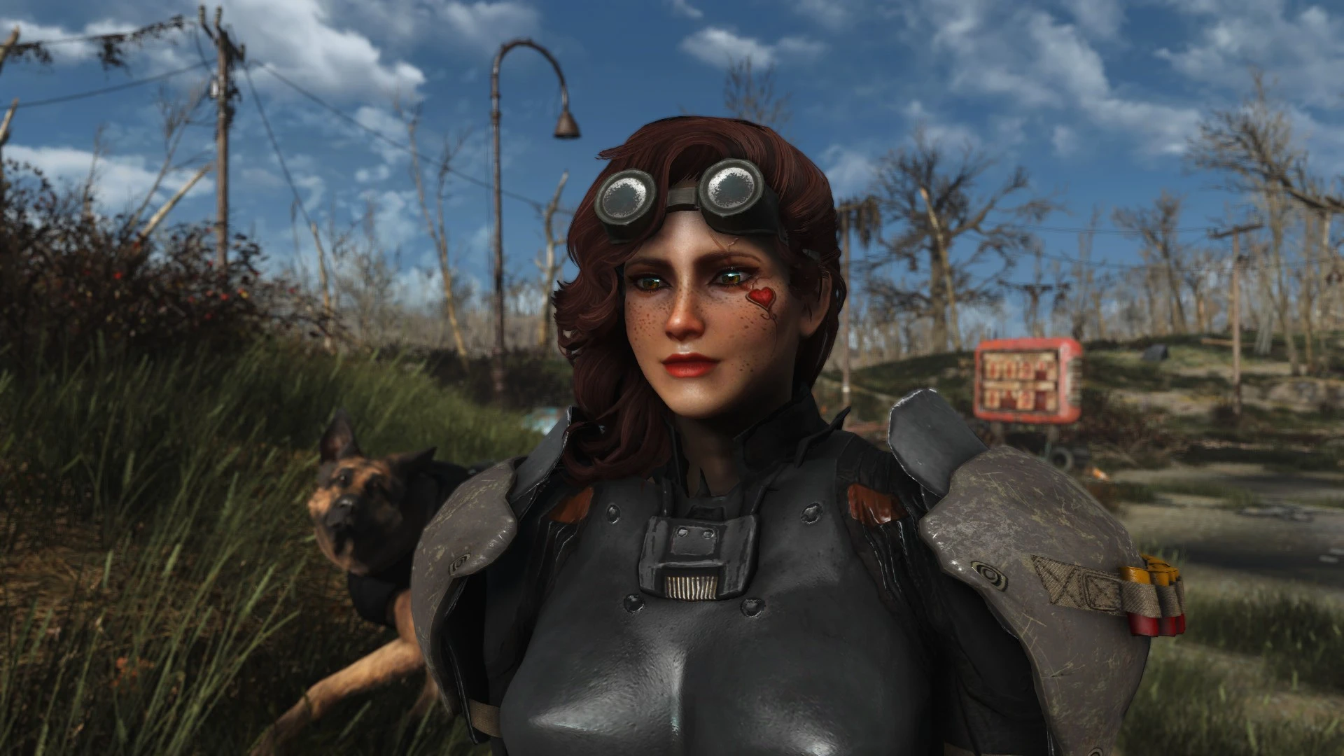 Photogenic at Fallout 4 Nexus - Mods and community