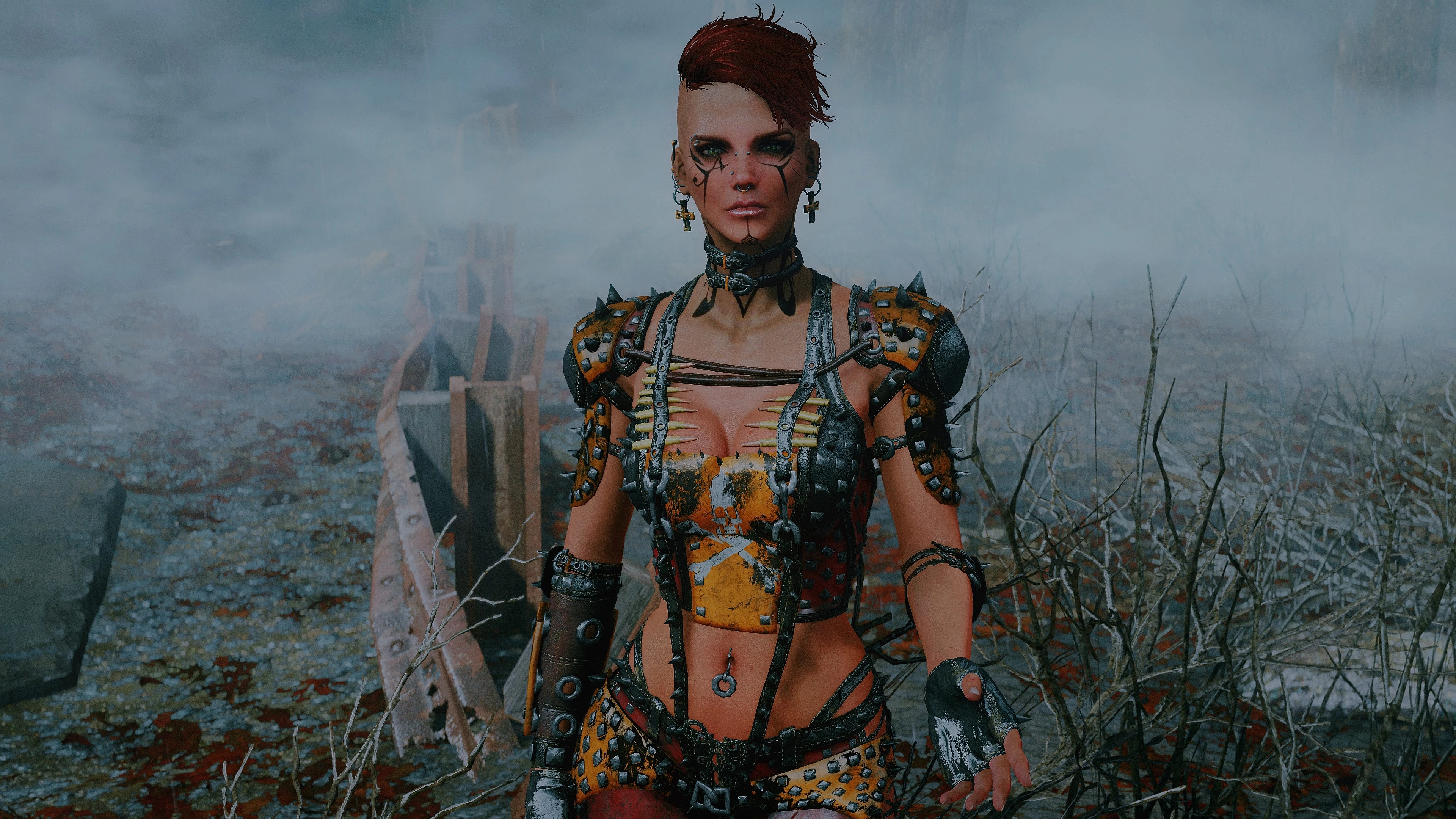 Cait At Fallout 4 Nexus Mods And Community   6964068 1490376474 