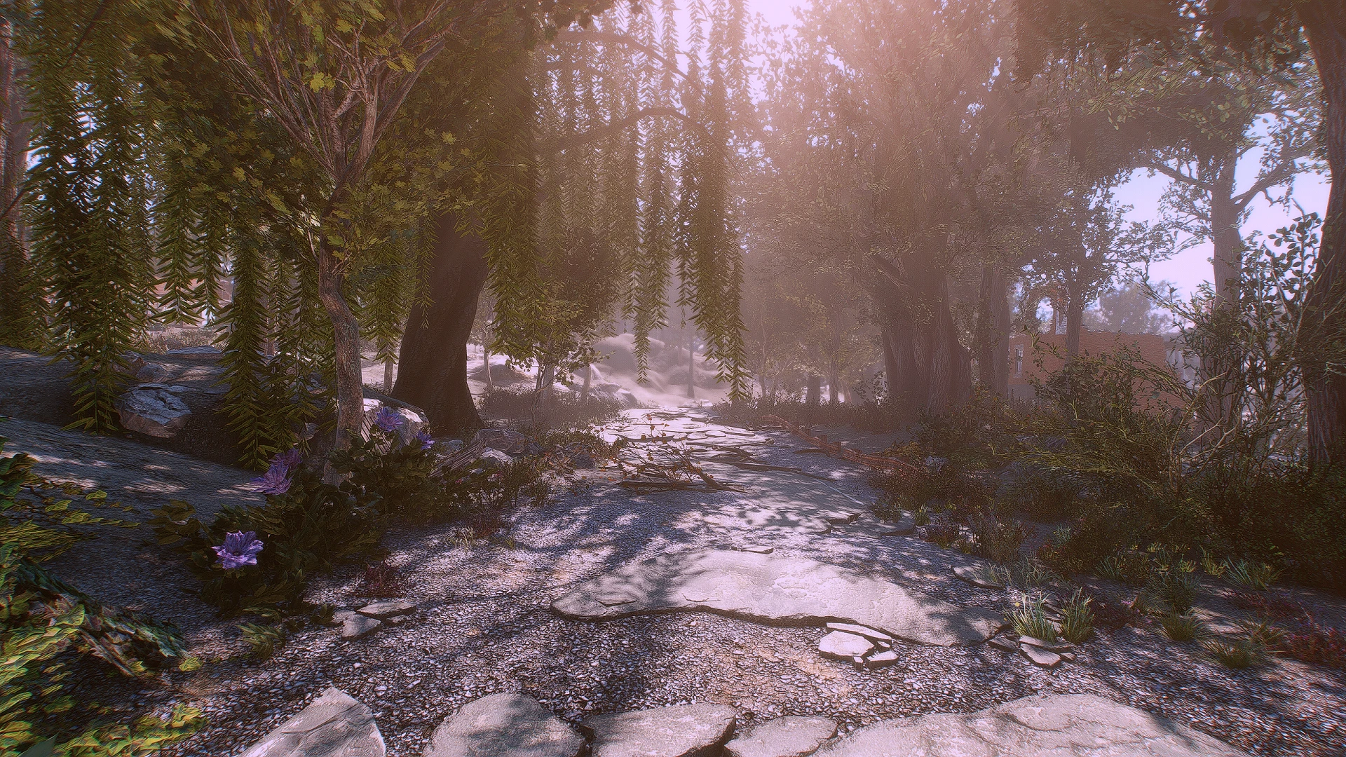 the forest mods nexus