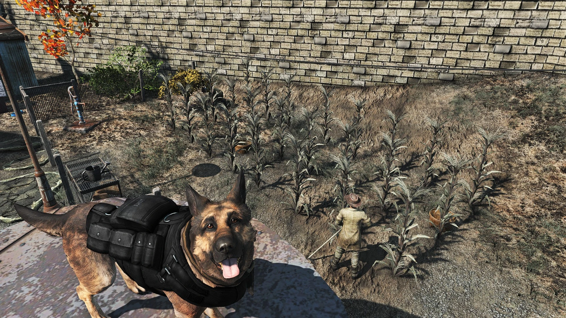 Dogmeat wanting some attention at Fallout 4 Nexus - Mods and community