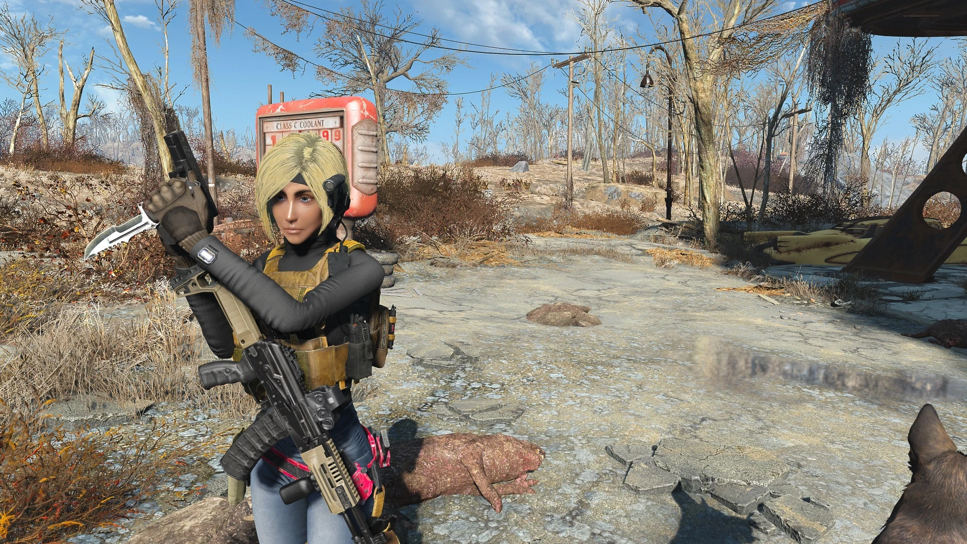 practical shooting star at Fallout 4 Nexus - Mods and community