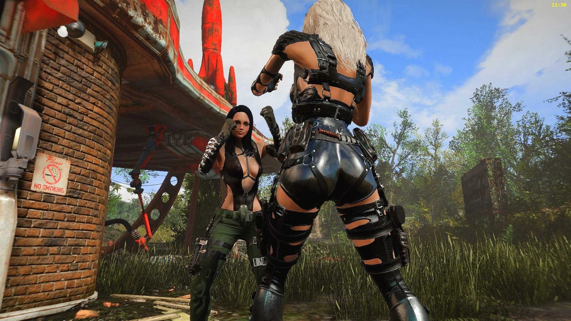 Catfight at Fallout 4 Nexus - Mods and community