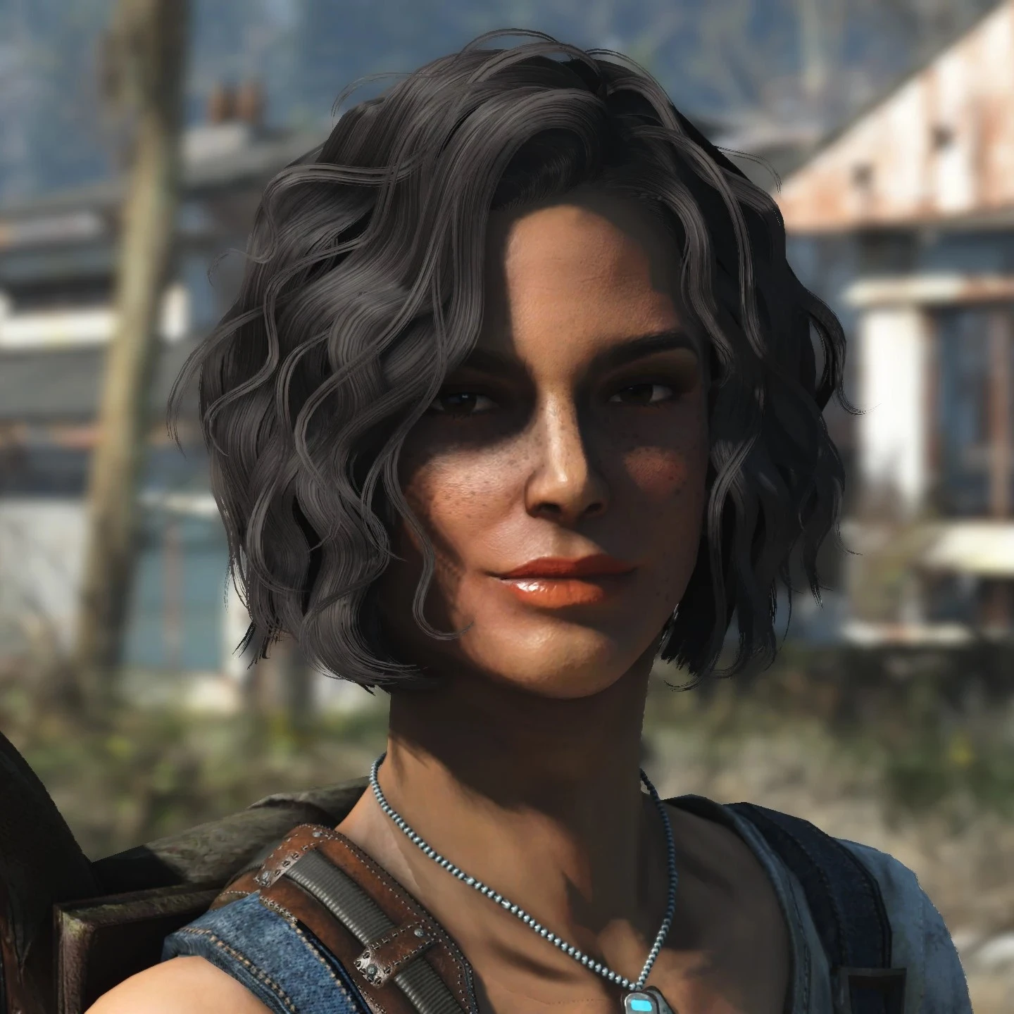 Portraits At Fallout 4 Nexus Mods And Community