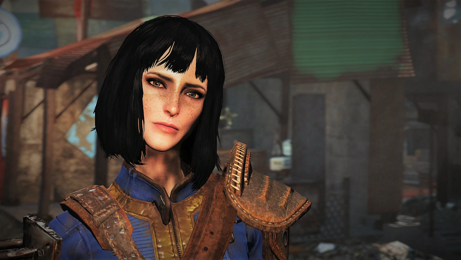 My Sole Survivor at Fallout 4 Nexus - Mods and community