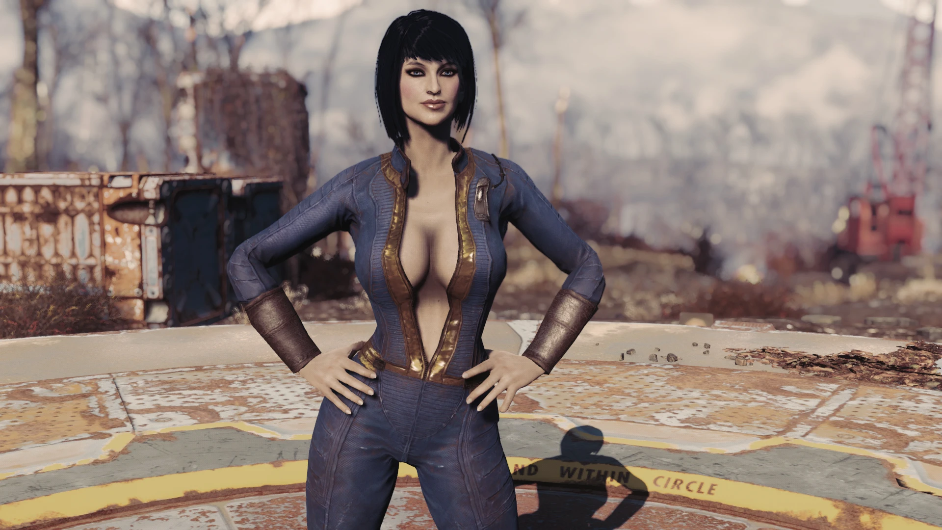 Fallout 4 реплейсер картин для поселений 18 фото 98