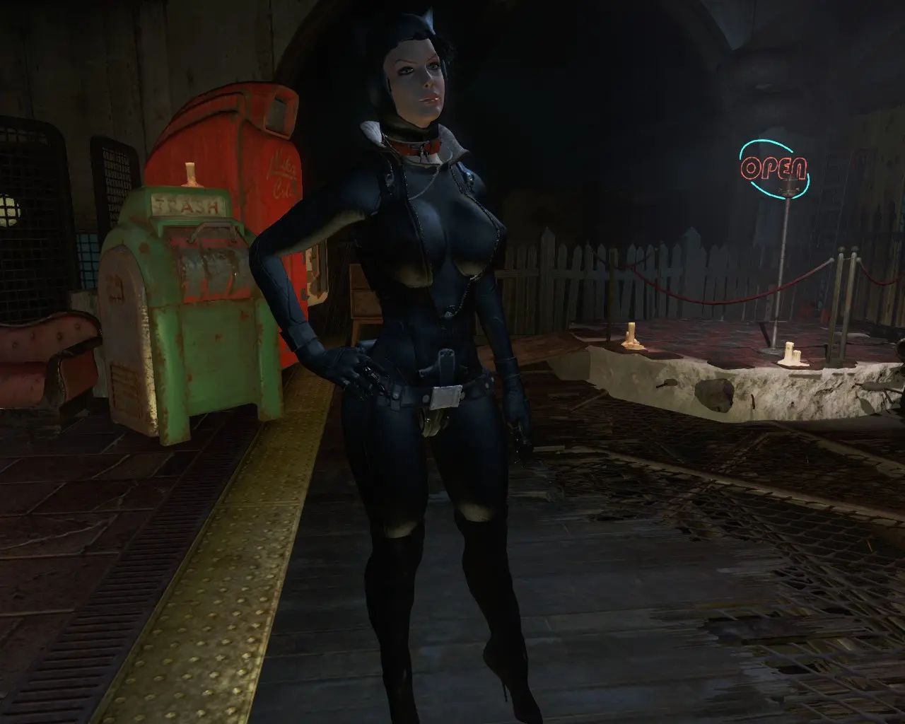 Fallout 4 catwoman suit фото 2