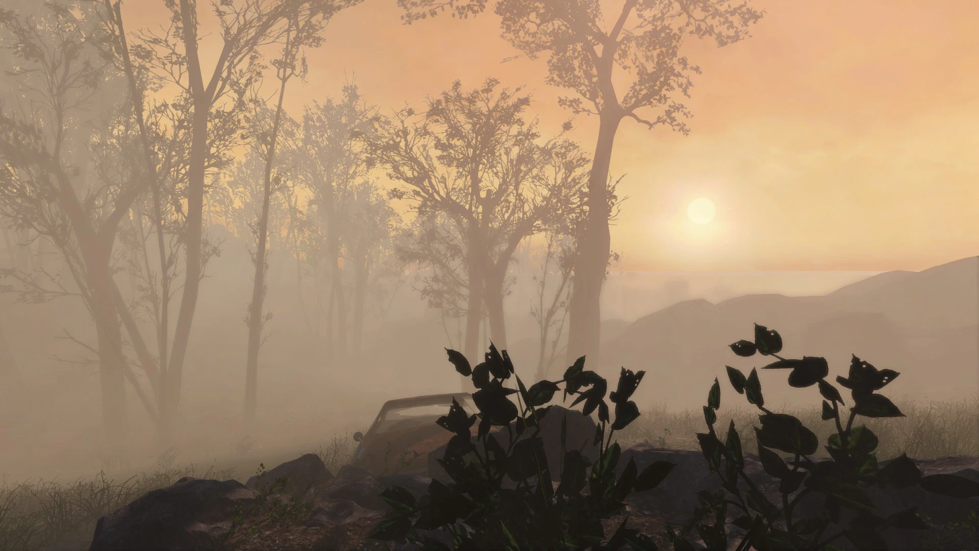 Misty Morning at Fallout 4 Nexus - Mods and community