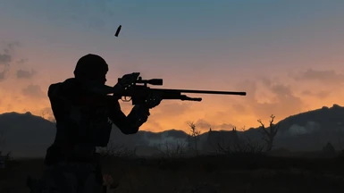 Sniper's Silhouette 
