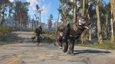 dogmeat combat armor black at Fallout 4 Nexus - Mods and community