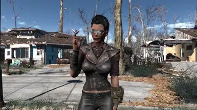 Pompadour Punk at Fallout 4 Nexus - Mods and community