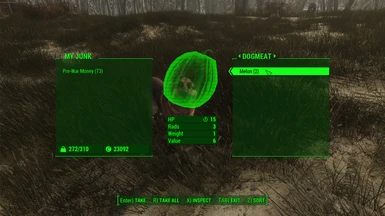 Dogmeat is Carrying Violets Melons