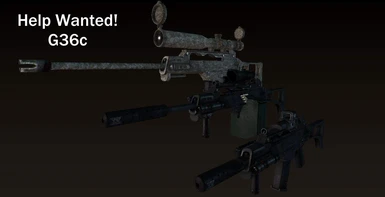Help Wanted G36c Animations